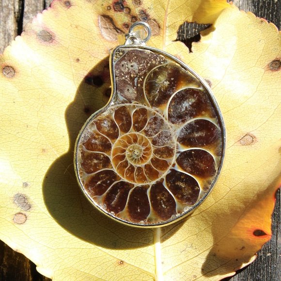 Ammonite Fossil Pendant, Sliced with waxed leather cord - Picture 2 of 3